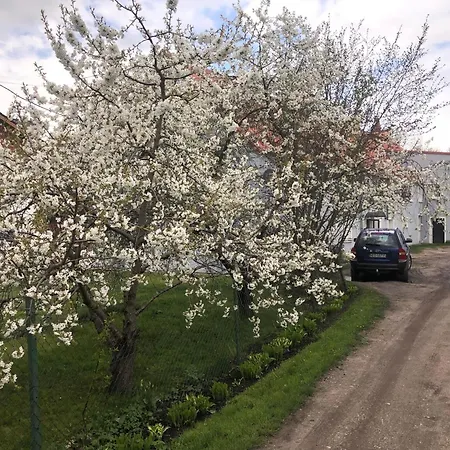 Kamienica Partyzantow